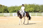 SBM_010119