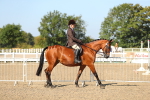 SBM_02170