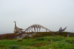 “Drakkar”, Skagen, near Vardø, Troms og Finnmark, Norway