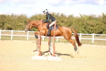 SBM_002198