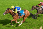 230824-Race 5-Canoodled-9758