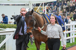 151124-Race 3-Paddock-Edwardstone-7641