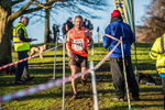 Cumbria XC-460