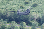 Chinook ZK555_5647