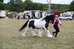 WJ6_5380
