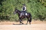 WJ6_6730
