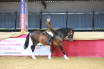SBM_12396