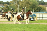 SBM_68234