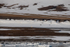 Svalbard landscape and Polar Bear