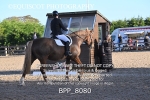 BPP_8080