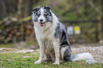 Buttermere-303