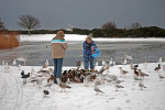 Cynthia & Kerry Feed The Birds