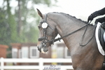 260829B-090220-00017