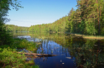 Nuuksio National Park, Uusimaa, Finland