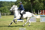 Cls 25 Snr British Novice and 90cm portfolio