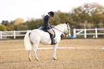 SBM_009015