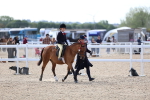 SBM_18160