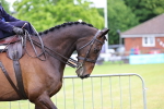 SBM_02863