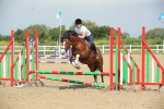 SBM_011356