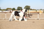 SBM_00159