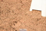230526A-085918-00952