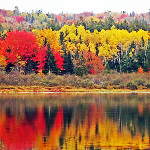 Kingston Lake NB - Autumn New Brunswick Canada Fall Foliage