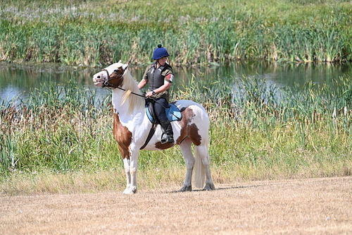 WJ7_8579