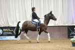 SBM_009600