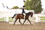 SBM_01336