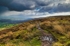 Paths Over Ilkley Moor