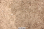 240714A-112101-01921
