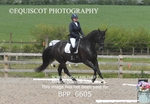 BPP_6605