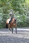 WJ7_8690