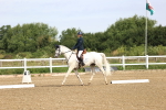 SBM_000230