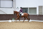SBM_014956