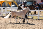SBM_14040