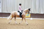 SBM_007708