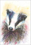 BADGER Fine Art Print 553