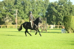 SBM_36312