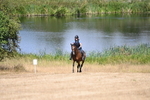 WJ6_8930
