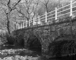 1999 - Lake Vyrnwy Bridge