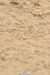 230611A-135202-06209