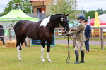 SBM_02539