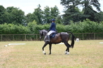 WJ6_3666
