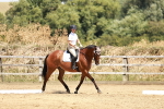 SBM_002966