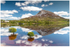 Still Waters, Mount Errigal (IMG0974)