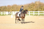 SBM_000991