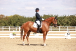 Class 17 - Novice 6 portfolio
