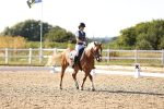 SBM_007731
