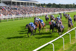 240824-Race 5-Elmonjed-1755